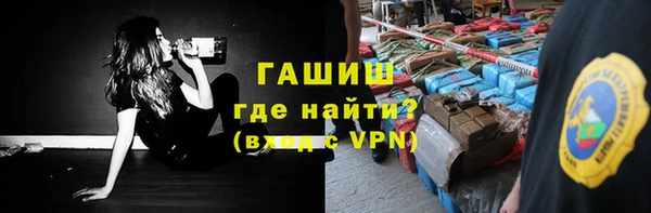 СК Ельня