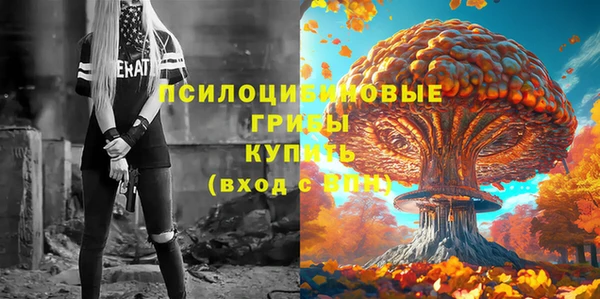 PSILOCYBIN Елабуга
