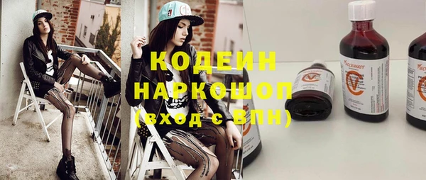 СК Ельня