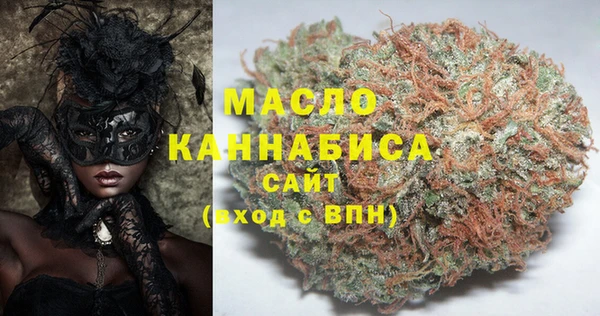 СК Ельня