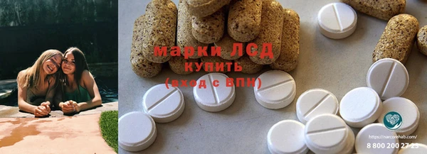 СК Ельня