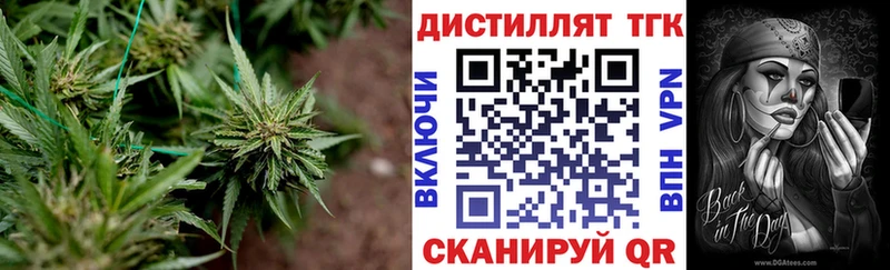 ТГК вейп купить закладку Канск